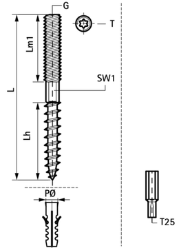 Винт-шуруп Walraven M10 x 60 мм с шестигранником 8 мм и шлицем Torx (арт. 6283006)