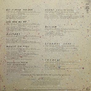 Box Of Frogs / Strange Land (LP)