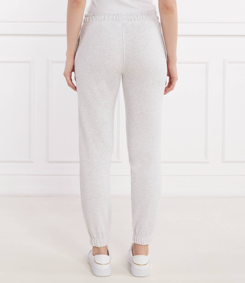 Спортивные штаны Gant - серый(4200709)