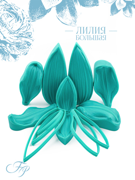 Лилия большая