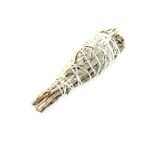 Факел белый шалфей калифорнийский,  10 шт.