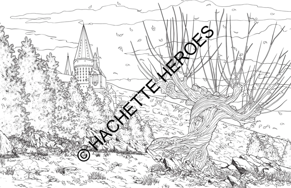 Hachette раскраска по номерам Poudlard - Le livre de coloriage officiel