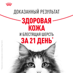 Royal Canin Hair&Skin Care Хэйр Энд Скин Корм влажный для взрослых кошек поддержание здоровья кожи и шерсти желе 85г