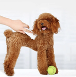 Машинка для стрижки животных Xiaomi Pawbby (MG-HC001A)