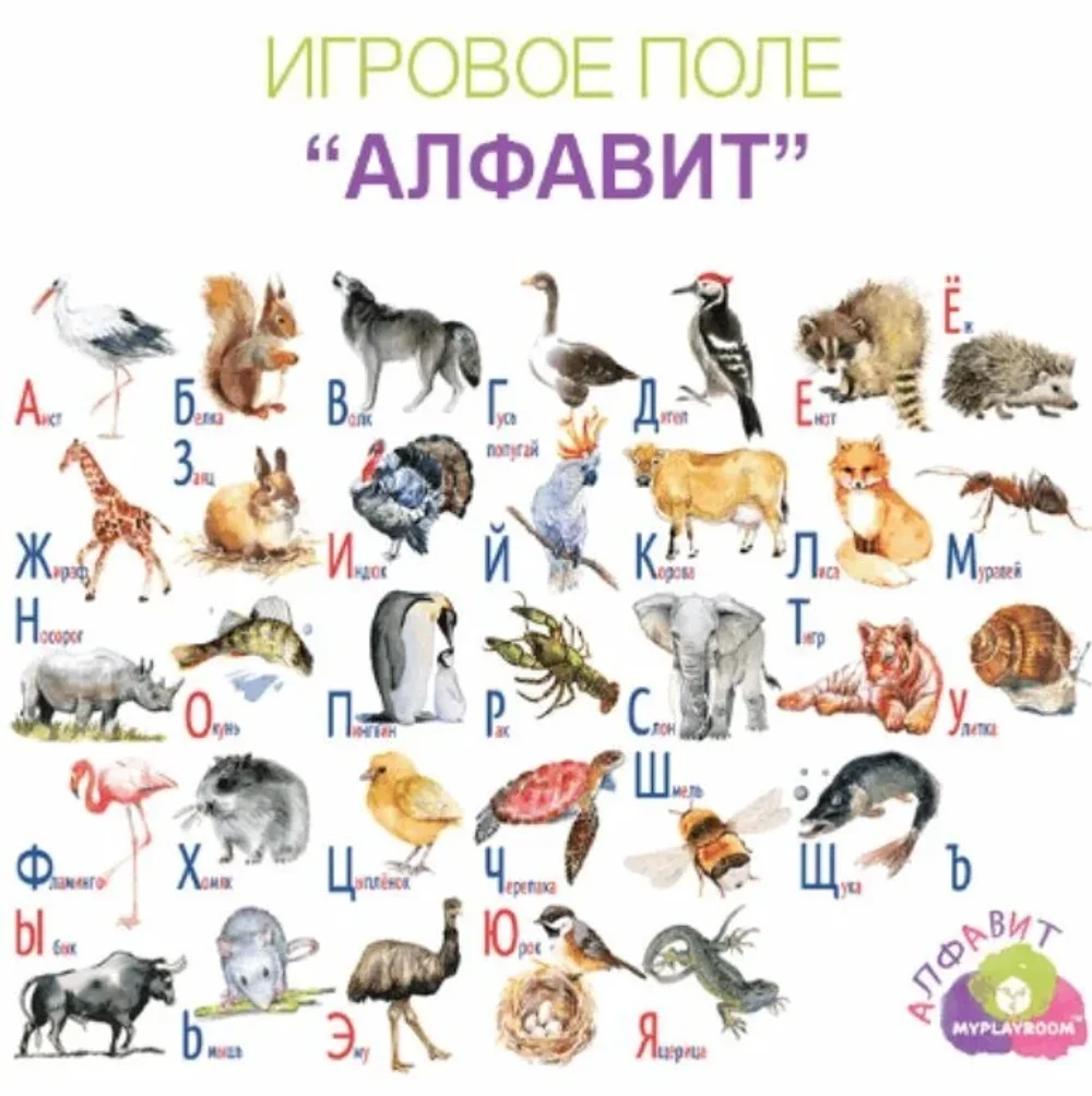 Интерактивная песочница