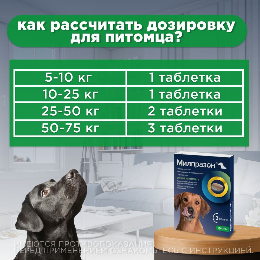 Милпразон таблетки для щенков и собак более5 кг