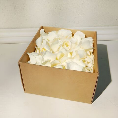 Лепестки живых роз