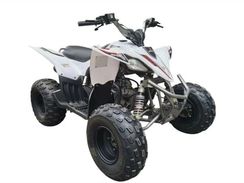 Квадроцикл MIKILON Rapide 120 EFI