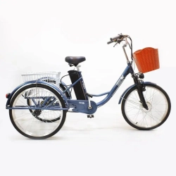 Электровелосипед Green Camel Трайк-24