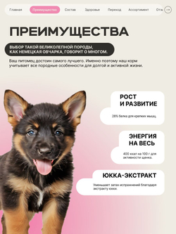 Корм сухой для щенков породы Немецкая овчарка, с говядиной, 12 кг, QUATTRO