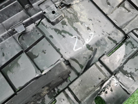 20250418_094837.JPG