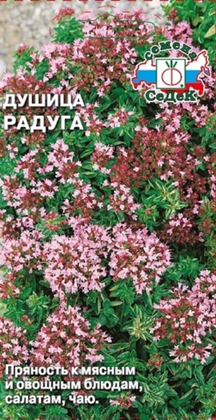 Душица Радуга