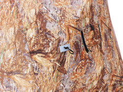 ЗИМНЯЯ ПАЛАТКА POLAR BIRD FAMILY T FEST КАМУФЛЯЖ