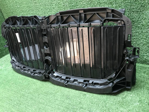 Решетка радиатора BMW X7 G07 (2019-2022)