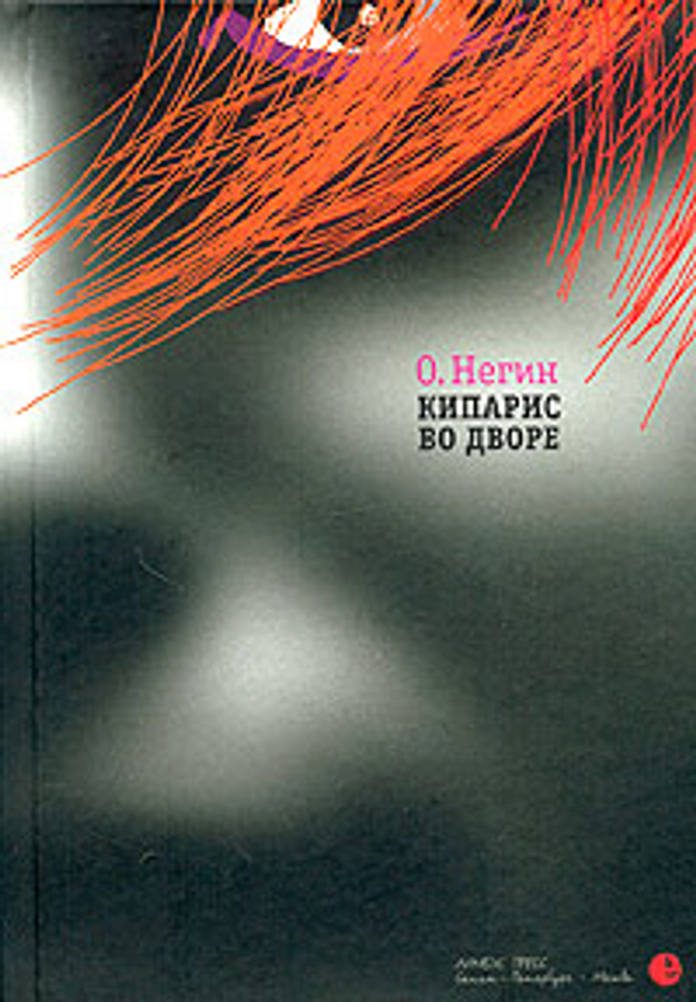 Кипарис во дворе