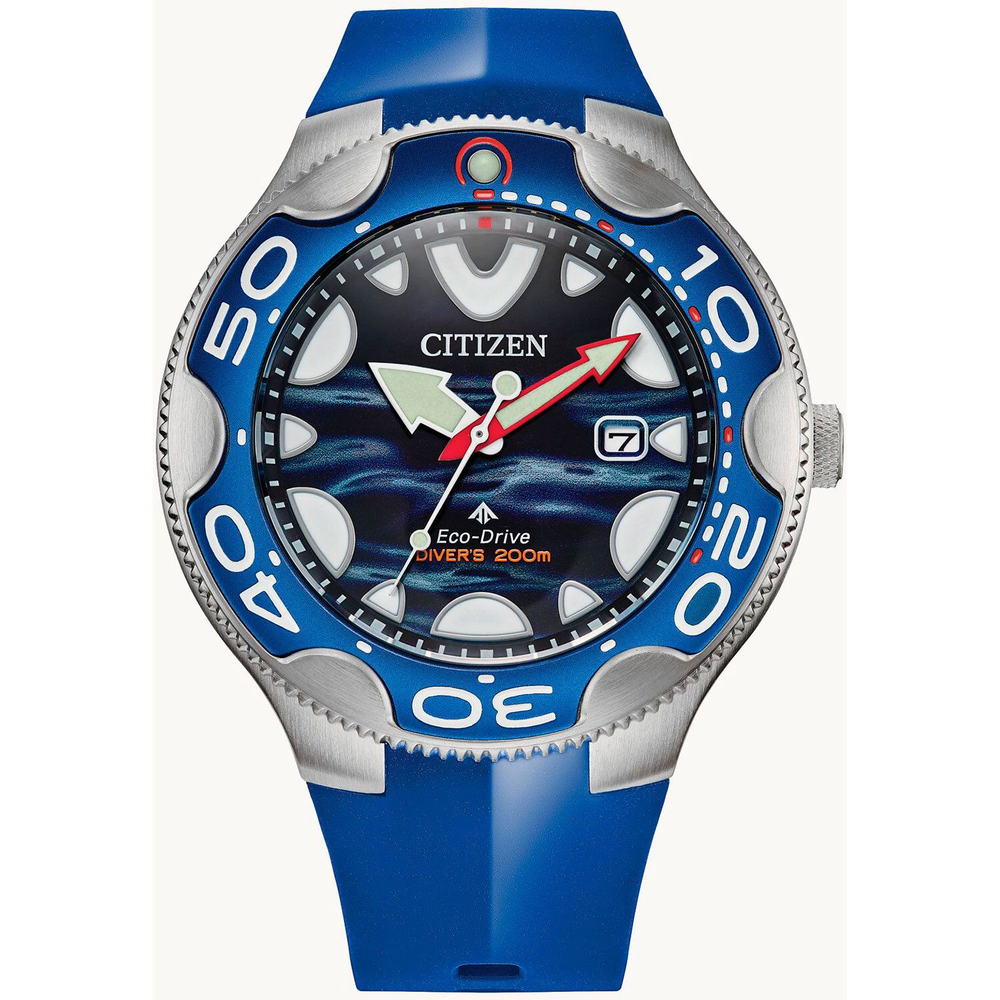 Мужские наручные часы Citizen BN0238-02L