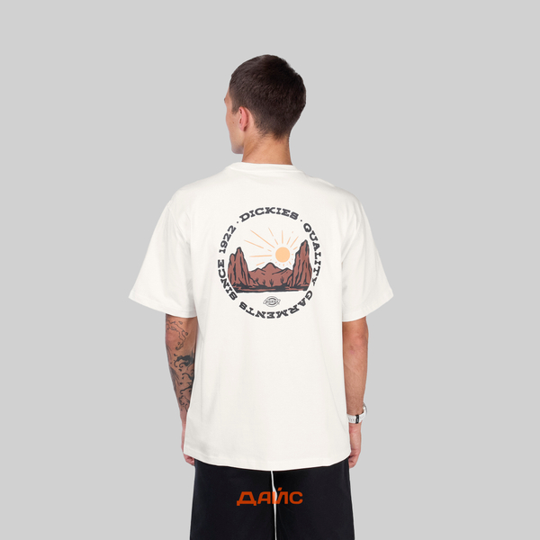 Футболка мужская Dickies Outdoor артикул:DK0A4Z8PC481 - купить в магазине Дайс