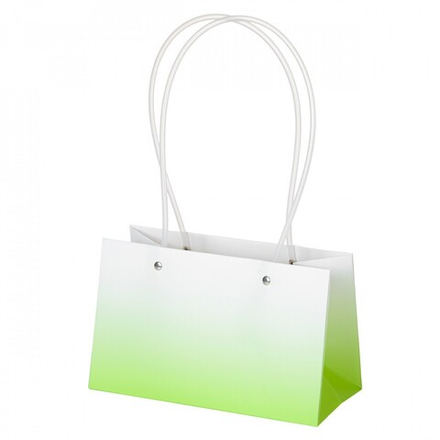 Пакет ПРЯМОУГОЛ 22*10,5*13,5см ГРАДИЕНТ