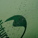 Палатка туристическая 2-местная Naturehike Сloud Tunnel NH20ZP006, 20D , зеленый, 6927595761977