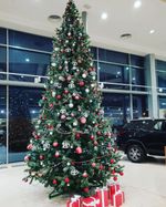 Большая елка «Рублевская» (пвх) 5,5 м