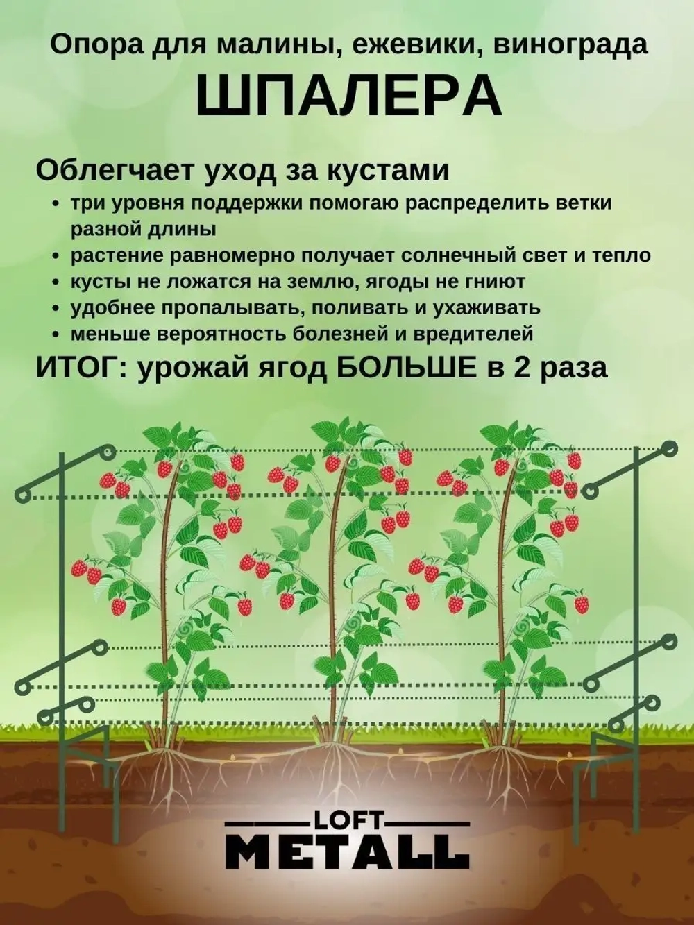 Шпалера для малины