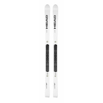 HEAD спортцех гигант мастерс 313060 WC Rebels e-GS RD PRO Masters WCR 14 189 см, 191 см без креплений/с креплениями FF EVO 14/с креплениями FF DEMO14 GW /с креплениями EVO 16