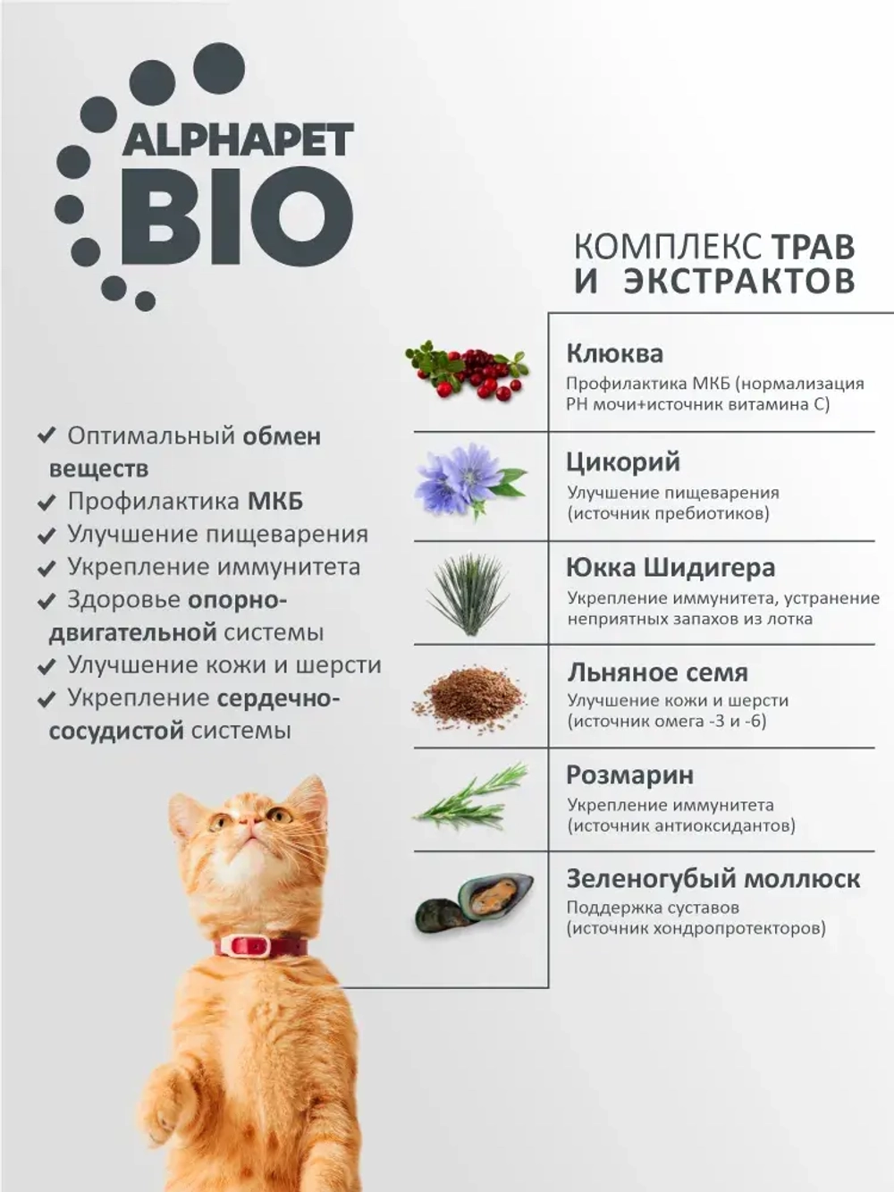 Корм сухой для домашних кошек AlphaPet WOW (АльфаПет) 0,35кг с говядиной и печенью