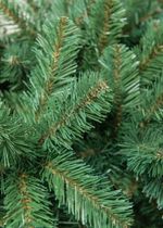 Ель искусственная «Звёздная» (пвх) 150 см / 1.5 м