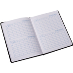 Дневник школьный Alingar, 1-11 кл., 48л.,7БЦ, ламинированный картон, поролон, "Mosque"