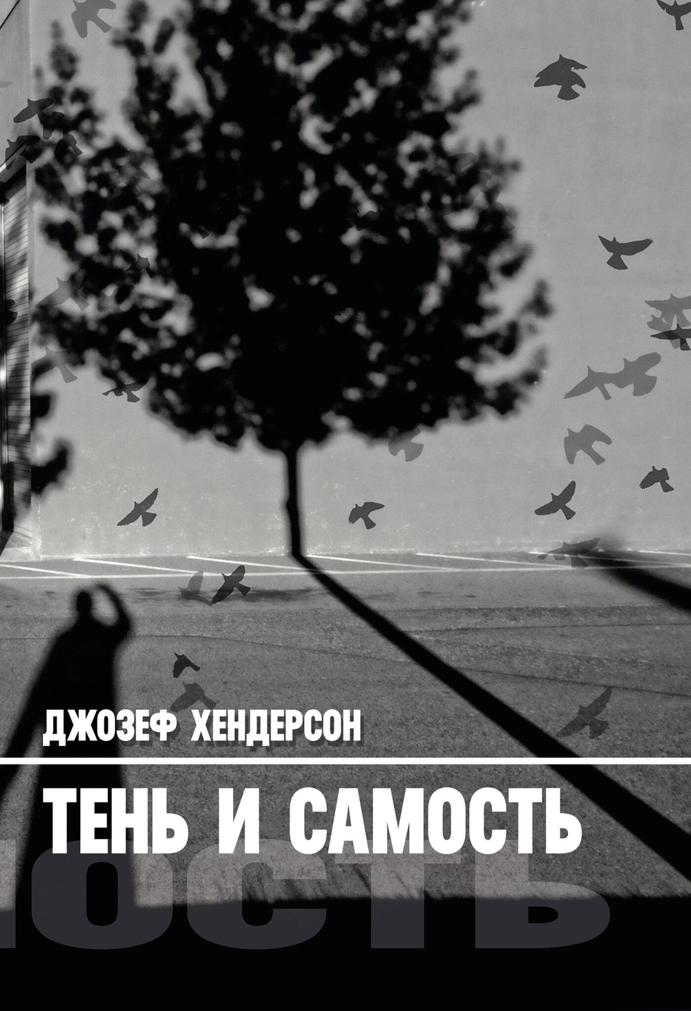 Тень и Самость