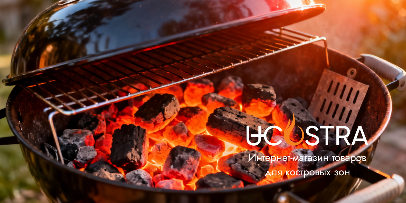 Гозовый или угольный гриль - какой выбрать?