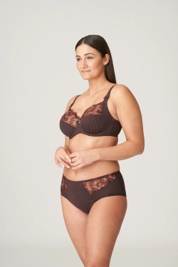 PRIMADONNA DEAUVILLE Трусики с высокой талией, коричневый