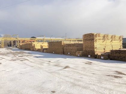 Обзор пиломатериалов для строительства