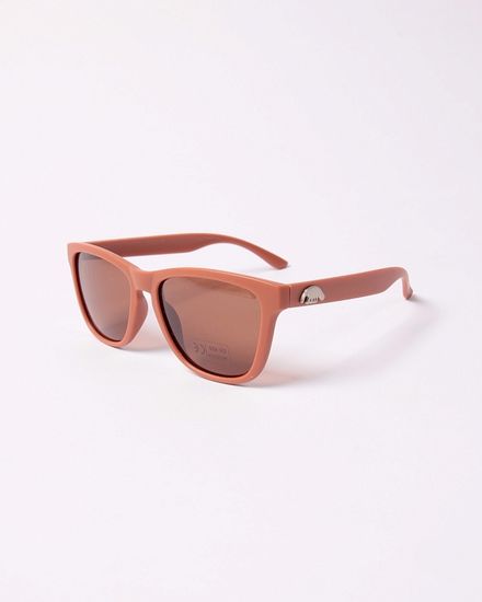 Очки Anteater Agent Brown Matte