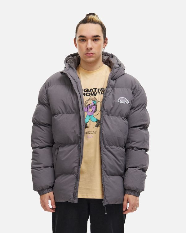 Пуховик AW25 Downjacket Hooded Crispy серый - фото 2