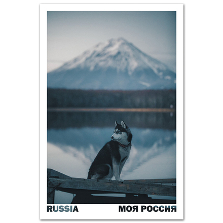 Компаньон. Камчатка