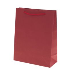 GAEM Пакет подарочный (бумага 210г/м2, блок 12шт), L19 W8 H24,5 см, 4в.