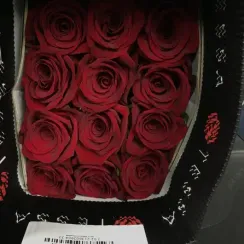 Роза Finally, плантация Tessa | Опт