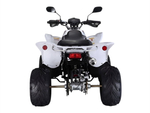 Квадроцикл RATO RТ250SТ-2
