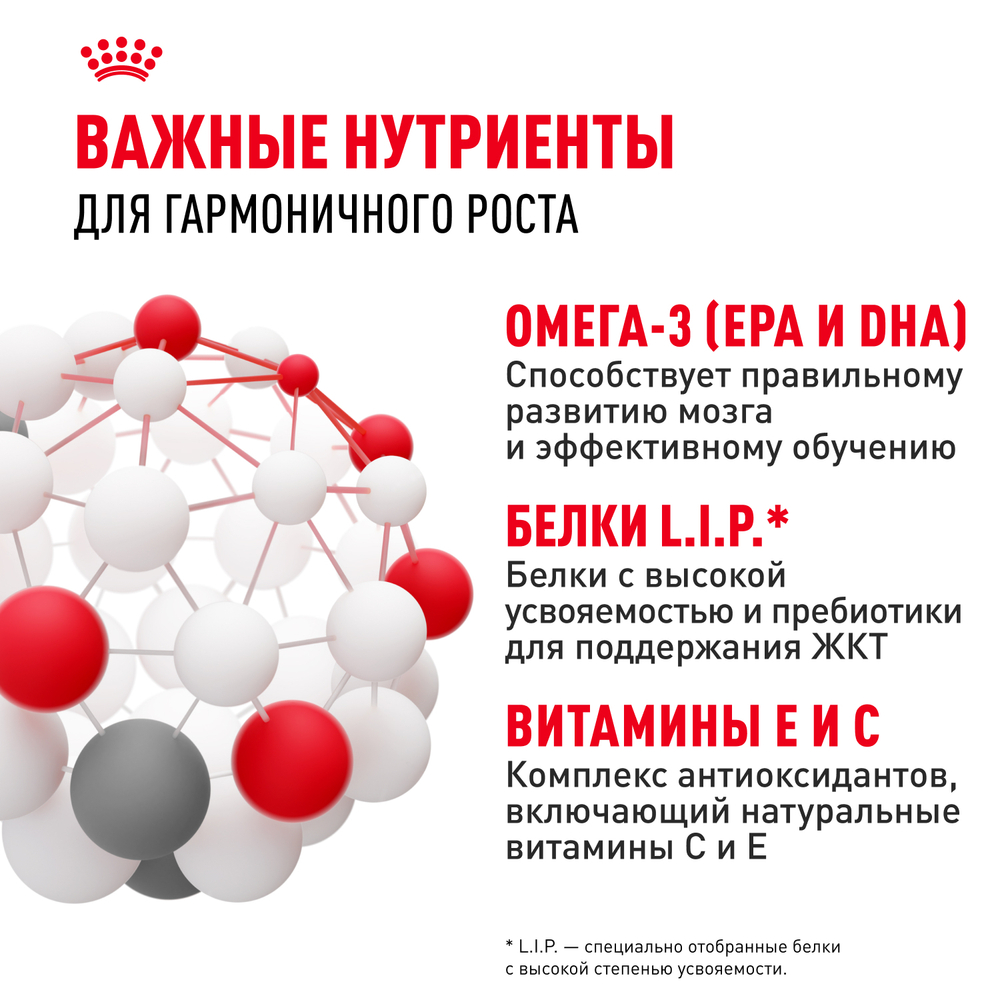 Royal Canin Maxi Puppy Корм сухой для щенков крупных размеров в возрасте до 15 месяцев 3 кг