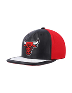 Кепка NBA Chicago Bulls Day One