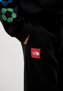 Брюки спортивные мужские THE NORTH FACE U AXYS JOGGER