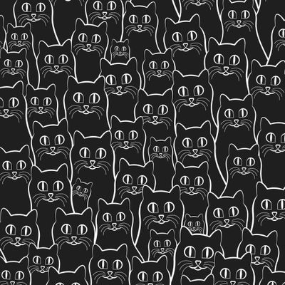 Черные коты