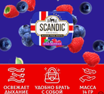 Конфеты SCANDIC без сахара со вкусом "Лесные ягоды" 14 гр