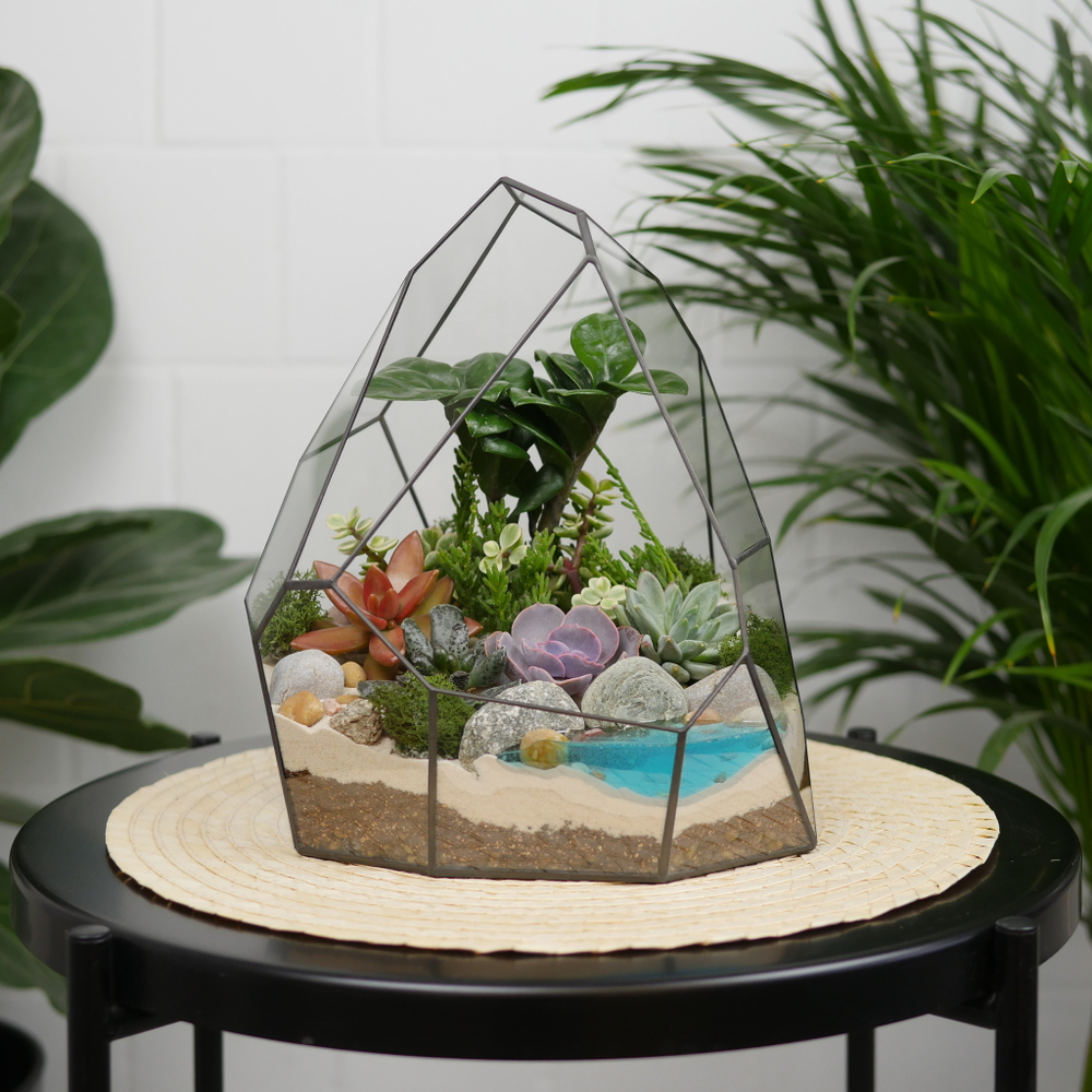 Готовый флорариум с суккулентами Hill с озером