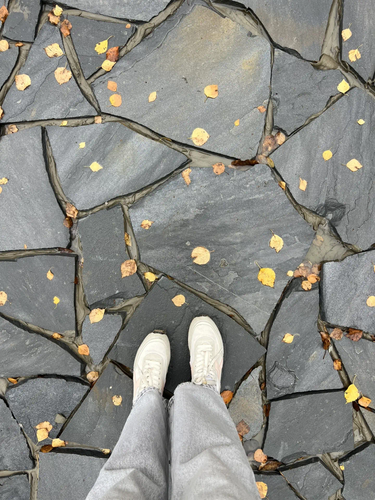 Мощение песчаником плитняком Синим. Вид сверху.