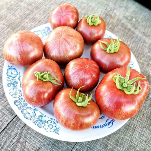 Помидоры Чёрный Карликовый Тигр Чероки - Cherokee Tiger Black Dwarf