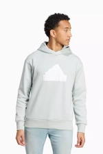 Кофта adidas Future Icons Badge of Sport