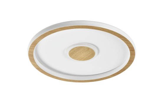 Потолочный светильник Freya FR5421CL-L80BG