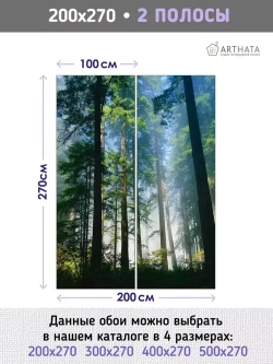 Фотообои сосновый лес в солнечных лучах на кухню 200х270